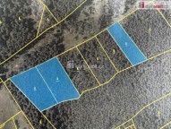 Detail: Lesní pozemek 11340 m2