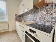 Detail: Pronájem bytu 1+1, 36 m2