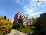 Detail: Pronájem bytu 1+1, 32 m2