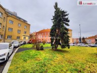 29