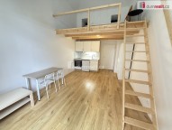 Detail: Pronájem bytu 1+kk, 50 m2