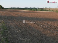 Detail: Zemědělský pozemek 4864 m2