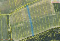 Detail: Zemědělský pozemek 4252 m2