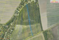 Detail: Zemědělský pozemek 6855 m2