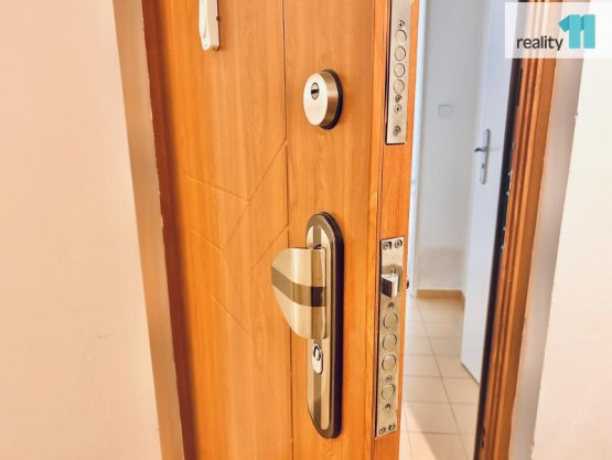 bezpečnostní dveře