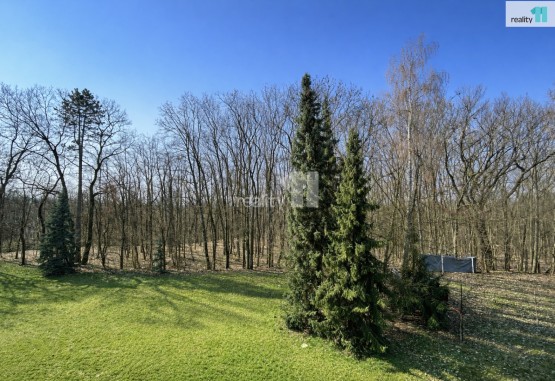 pohled z oken z obývacího pokoje