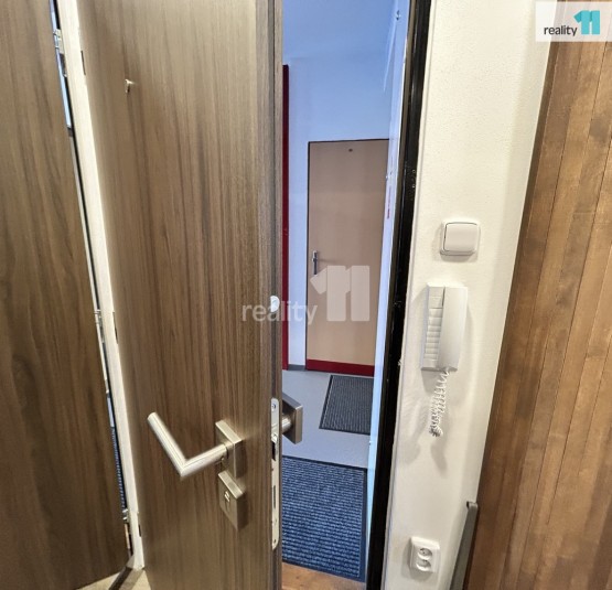 bezpečnostní dveře