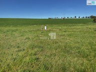 Detail: Pozemek k bydlení 3737 m2