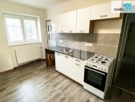 Detail: Pronájem bytu 2+1, 46 m2