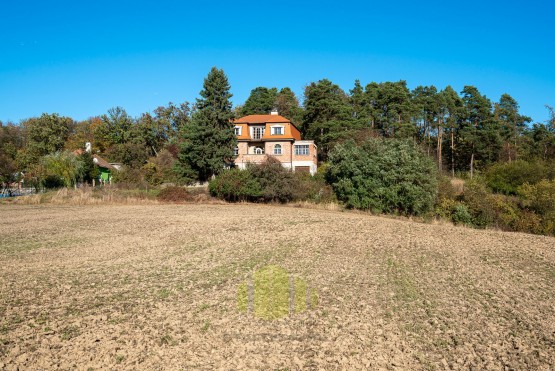 bez-nazvu-21.jpg