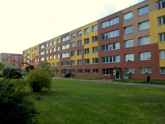 p4250125.jpg