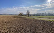 img-0693-edited.jpg