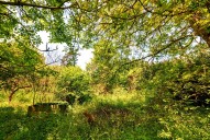 pozemek-prodej-prackovice-nad-labem-lovosice-2.jpg