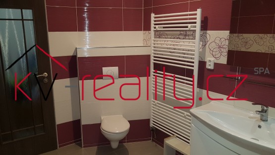 Obrázek k zakázce č.: 554393