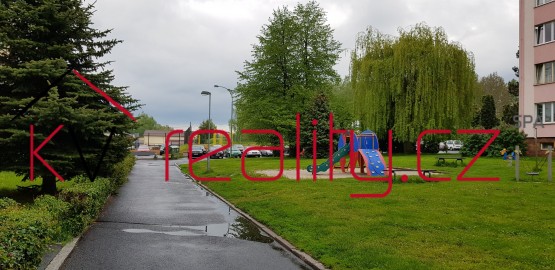 Obrázek k zakázce č.: 582683