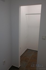 11080436.jpg