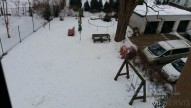 Pohled na zahradu