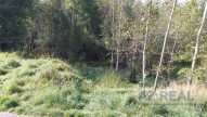 20140924-103810.jpg
