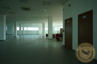 dsc06239.jpg