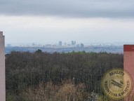 343299128-237387725506288-4454356419317360708-n-1.jpg