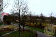 k800-dsc7062-1.jpg