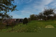 k1024-d81-5672-1.jpg
