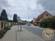 20240910-110856.jpg