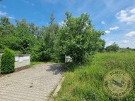 k1024-447757262-1010721970613696-5877829784024225055-n.jpg