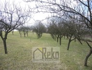 DSCN0058