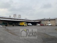 20181119_083129561_iOS