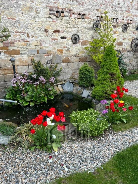 IMG-20250408-WA0015