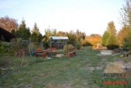dsc-0708.jpg