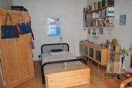 dsc-0835.jpg