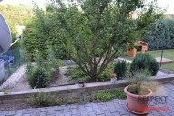 dsc-0602.jpg