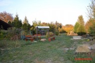 dsc-0708.jpg