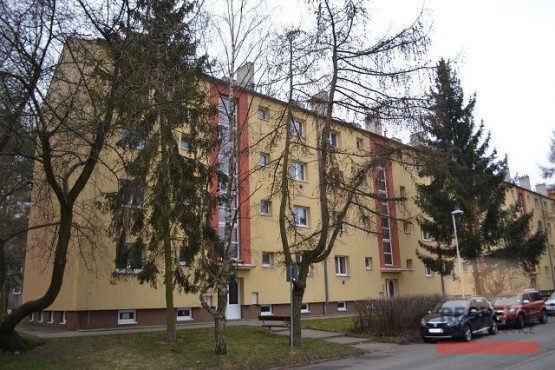 dsc-1104.jpg