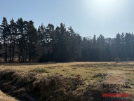 img-0708.jpeg
