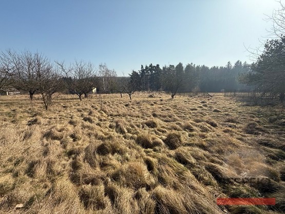 img-0703.jpeg