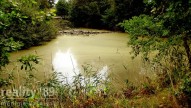 IMG_5421