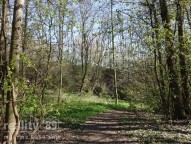 web_Park (5)