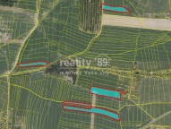 Detail: Zemědělský pozemek 21984 m2
