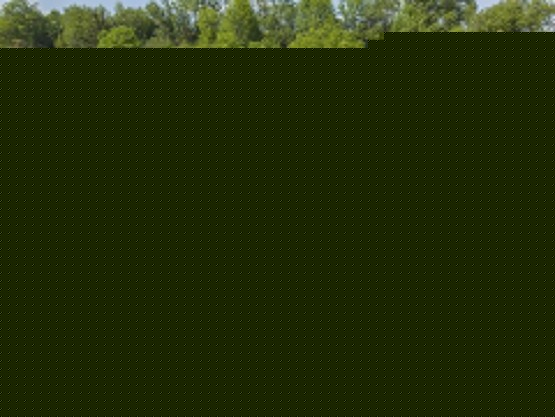 DJI_20260625220447_0281_D