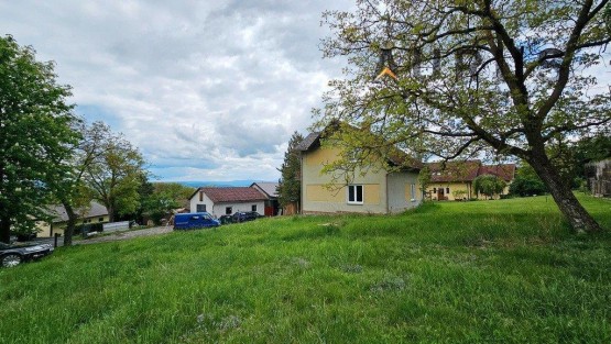 20260516_140304.jpg