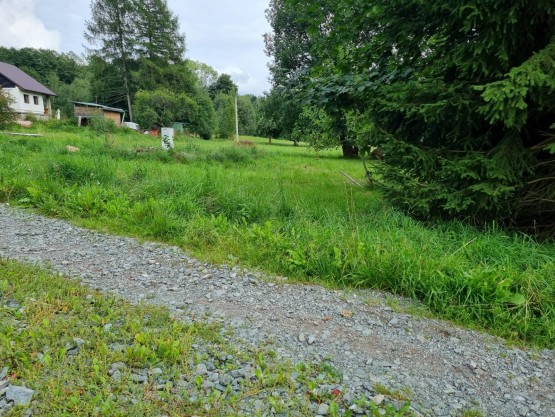 20230903_163227.jpg