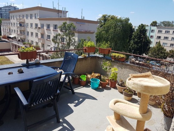 20190624_142353_resized.jpg