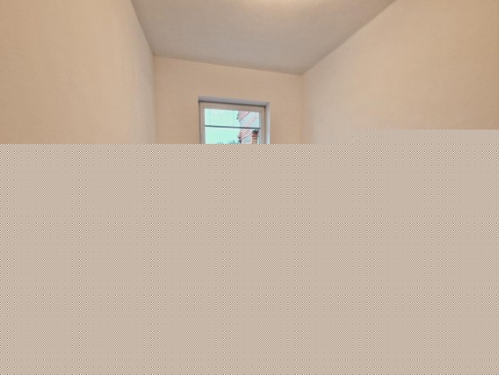 20241129_125905.jpg
