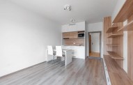 Detail: Pronájem bytu 1+kk, 30 m2