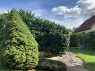 Detail: Rodinný dům, 450 m2