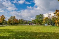 DSC07710.jpg