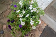 DSC_8873.jpg